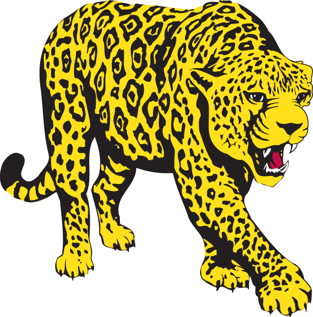 South Alabama Jaguars 1993-2007 Partial Logo v3 iron on transfers for T-shirts